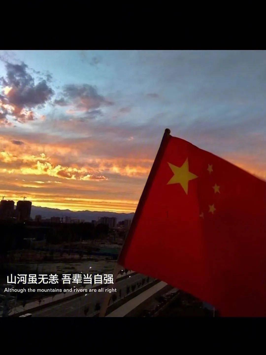 猫的寿命一般多长-专业问答平台
